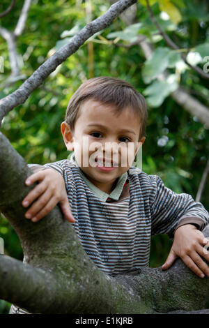 Boy in tree Stock Photo
