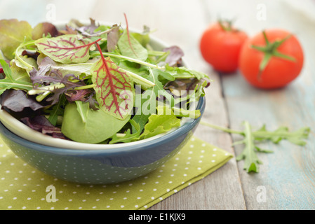 Salad mix with arugula, radicchio and lamb's lettuce in bowl on wooden background Stock Photo