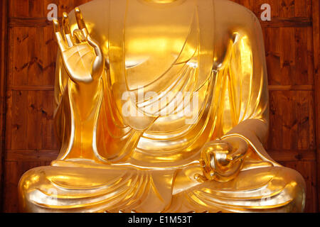 Bhaisajya Buddha (Medicine Buddha or the Buddha of Healing). Detail of the medecine bowl. Stock Photo