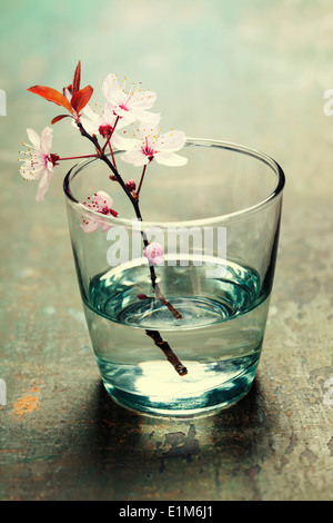 spring blossoms in glass vase on wooden surface Stock Photo