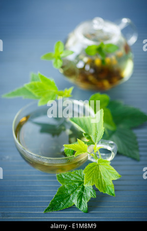 tea with currant leaves on a wooden table Stock Photo