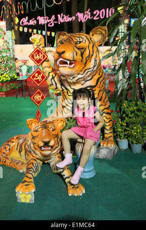 YEAR OF THE TIGER Stock Photo: 26990295 - Alamy