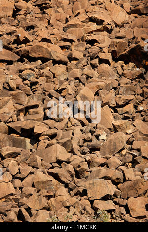 Stones Stock Photo