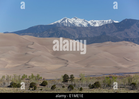 USA, Colorado, Great Sand Dunes National Park and Preserve, sand dunes (foreground), Sangre De Cristo Mountains (background) Stock Photo