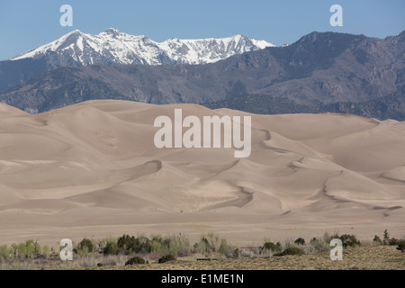 USA, Colorado, Great Sand Dunes National Park and Preserve, sand dunes (foreground), Sangre De Cristo Mountains (background) Stock Photo