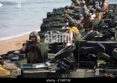 U.S. Marines with the 2nd Battalion, 3rd Marine Regiment, attached to the 4th Marine Regiment, line up in assault amphibious ve Stock Photo