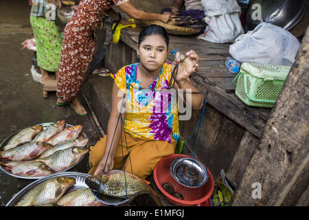 June 6, 2014 - Pantanaw, Ayeyarwady Region, Myanmar - A woman sells fish in the market in Pantanaw, a town in the Irrawaddy Delta (or Ayeyarwady Delta) in Myanmar. The region is Myanmar's largest rice producer, so its infrastructure of road transportation has been greatly developed during the 1990s and 2000s. Two thirds of the total arable land is under rice cultivation with a yield of about 2,000-2,500 kg per hectare. FIshing and aquaculture are also important economically. Because of the number of rivers and canals that crisscross the Delta, steamship service is widely available. (Credit Ima Stock Photo