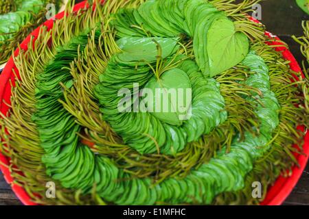 June 6, 2014 - Pantanaw, Ayeyarwady Region, Myanmar - Betel leaf for sale in Pantanaw, a town in the Irrawaddy Delta (or Ayeyarwady Delta) in Myanmar. The region is Myanmar's largest rice producer, so its infrastructure of road transportation has been greatly developed during the 1990s and 2000s. Two thirds of the total arable land is under rice cultivation with a yield of about 2,000-2,500 kg per hectare. FIshing and aquaculture are also important economically. Because of the number of rivers and canals that crisscross the Delta, steamship service is widely available. (Credit Image: © Jack Ku Stock Photo