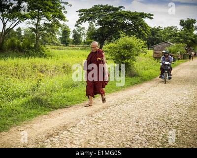 June 6, 2014 - Pantanaw, Ayeyarwady Region, Myanmar - A Buddhist monk walks along a back road in the Irrawaddy Delta (or Ayeyarwady Delta) in Myanmar. The region is Myanmar's largest rice producer, so its infrastructure of road transportation has been greatly developed during the 1990s and 2000s. Two thirds of the total arable land is under rice cultivation with a yield of about 2,000-2,500 kg per hectare. FIshing and aquaculture are also important economically. Because of the number of rivers and canals that crisscross the Delta, steamship service is widely available. (Credit Image: © Jack Ku Stock Photo