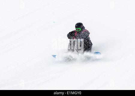 Radomir DUDAS of Slovakia follows the shouts of his guide in the Mens  Alpine Skiing Giant Slalom during the 2014 Winter Paralympic Games at the  Rosa K Stock Photo - Alamy