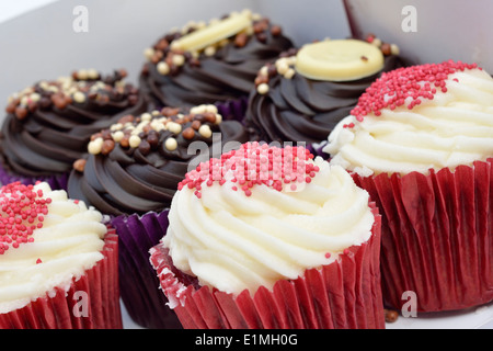 Cupcakes, chocolate and Red Velvet Stock Photo