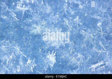 Snowflakes macro. Soft blue tint. Stock Photo