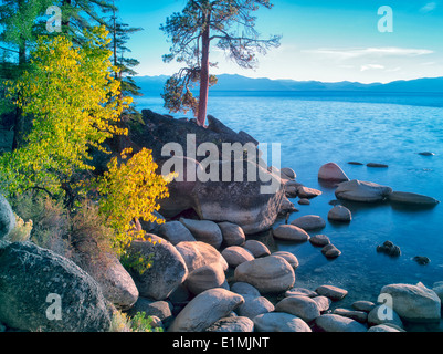 Boulder rocks and fall color on shoreline of Lake Tahoe, Nevada Stock Photo