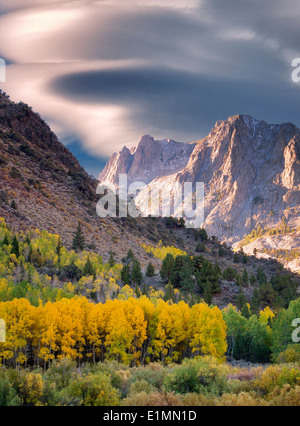 Aspen trees in fall color and mountains around June Lakes Loop.Eastern Sierra Nevada Mountains, California