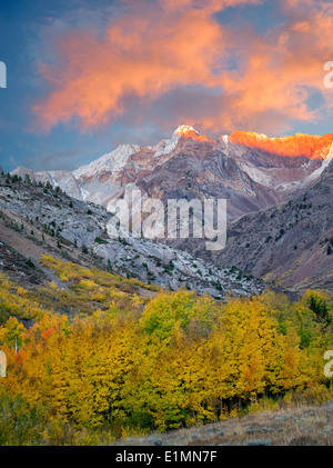 Mcgee Creek drainage with fall colored cottonwood and aspen trees. Eastern Sierra Nevada Mountains, California Stock Photo