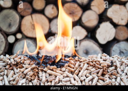 Pine pellets in flames- behind flames are fire wood Stock Photo