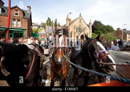 Appleby-in-Westmorland, Cumbria, England - June 06, 2014: Horses tethered in the street during the Appleby Horse Fair, an annual gathering of Gypsies and Travellers which takes place in the first week of June. Appleby Fair is unique in Europe, attracting around 10,000 Gypsies and Travellers and up to 30,000 visitors. Credit:  AC Images/Alamy Live News Stock Photo