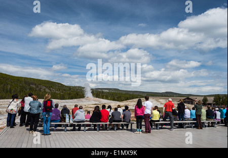 Visitors gather in front of the Old Faithful Geyser for its eruption. Yellowstone National Park, Wyoming, USA. Stock Photo