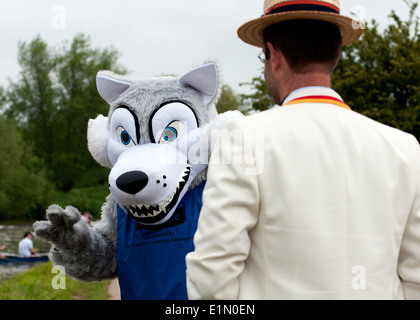 Oxford May Eights, Wolfson College mascot, Oxford, UK Stock Photo