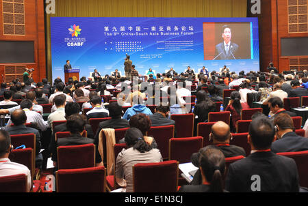 Kunming, China's Yunnan Province. 7th June, 2014. The 9th China-South Asia Business Forum is held in Kunming, capital of southwest China's Yunnan Province, June 7, 2014. Credit:  Lin Yiguang/Xinhua/Alamy Live News Stock Photo