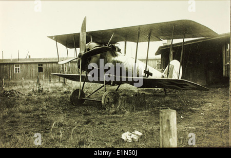 Pfalz, D VIII Stock Photo