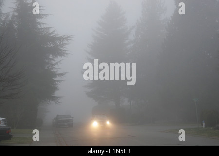 Car driving in dense fog in Delta, British Columbia, Canada Stock Photo