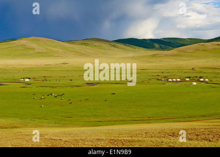 Mongolia, Arkhangai province, Snake valley, Nomad camp Stock Photo