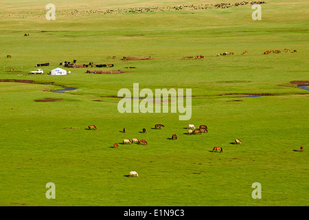 Mongolia, Arkhangai province, Snake valley, Nomad camp Stock Photo