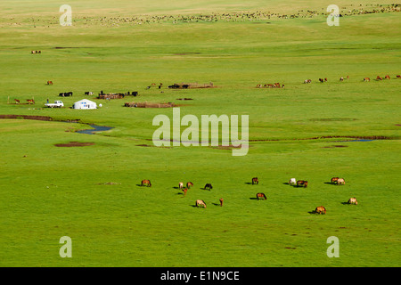 Mongolia, Arkhangai province, Snake valley, Nomad camp Stock Photo