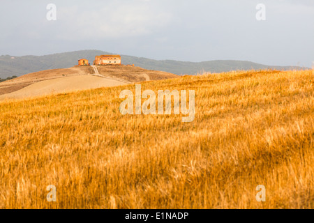 Landscape with buildings on the hill in region of Mucigliani (between Siena and Asciano), Province of Siena, Tuscany, Italy Stock Photo