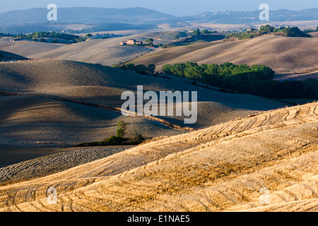 Morning landscape in region between Siena and Asciano, Crete Senesi, Province of Siena, Tuscany, Italy Stock Photo