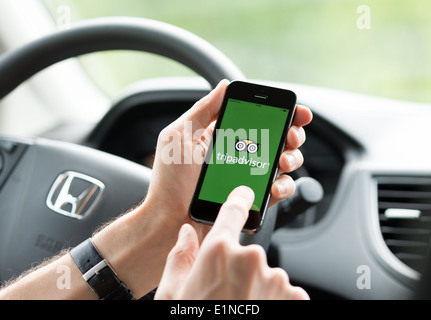 Man in a car planning a trip using Tripadvisor app on Apple iPhone 5S Stock Photo