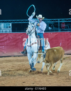 Cowboy Participating in a Calf roping Competition at the Clark county Rodeo in Logandale Nevada Stock Photo