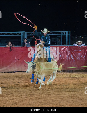 Cowboy Participating in a Calf roping Competition at the Clark county Rodeo in Logandale Nevada Stock Photo