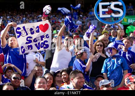 Washington, D.C, USA. 07th June, 2014. World Cup Soccer Warm up between Spain and El Salvador. Spain win 2-0, Goals by Spain # 7 David Villa.El Salvador Fans cheering the National team. Credit:  Khamp Sykhammountry/Alamy Live News Stock Photo