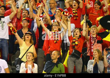 Brussels, Belgium. 7th June, 2014. Belgium's supporters cheer for the team during a friendly soccer match against Tunisia in Brussels, on June 7, 2014. Belgium won 1-0. Credit:  Gong Bing/Xinhua/Alamy Live News Stock Photo