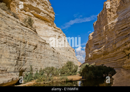 Ein Avdat, sweet water spring in the negev desert, israel Stock Photo