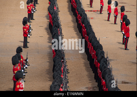 The final rehearsal of the Queen’s Birthday Parade, the Colonel’s Review, Nijmegen Company Grenadier Guards troop the Colour Stock Photo