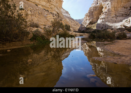 Ein Avdat, sweet water spring in the negev desert, israel Stock Photo