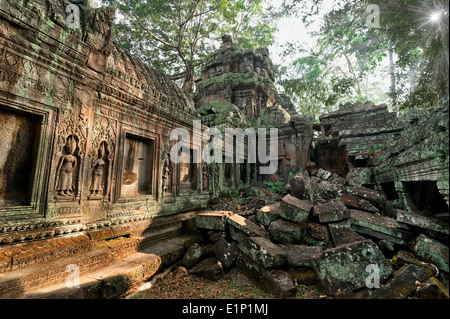 Ancient Khmer architecture Ta Prohm temple giant banyan tree at Angkor Wat complex Siem Reap Cambodia Two images panorama Stock Photo