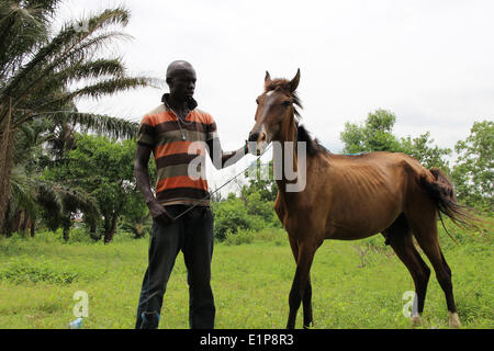 Horse cumshot in Abuja