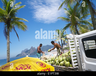 RIO DE JANEIRO, BRAZIL - FEBRUARY 2, 2014: Men delivering fresh coconuts from the back of a truck in Arpoador Ipanema. Stock Photo
