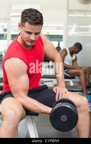 Handsome bodybuilder sitting on bench lifting dumbbell Stock Photo