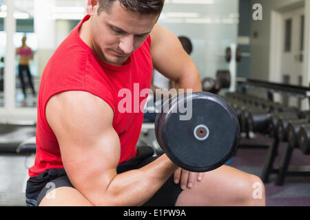 Handsome bodybuilder sitting on bench lifting dumbbell Stock Photo