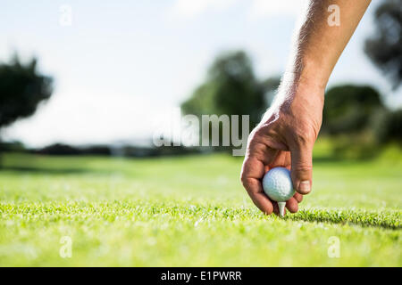 Golfer placing golf ball on tee Stock Photo