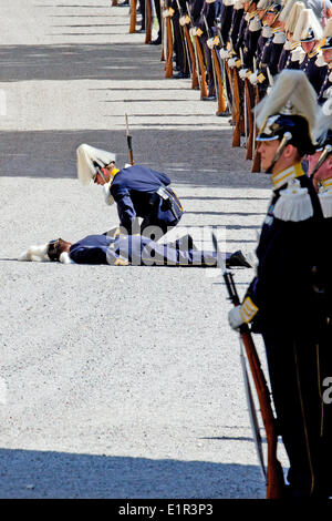 Stockholm, Sweden. 08th June, 2014. One of the palace guards collapsed during the christening of Swedish Princess Leonore at Drottningholm Palace outside Stockholm, Sweden, 08 June 2014. Credit:  dpa picture alliance/Alamy Live News Stock Photo