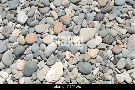 Beach pebble of various forms as a background. Stock Photo