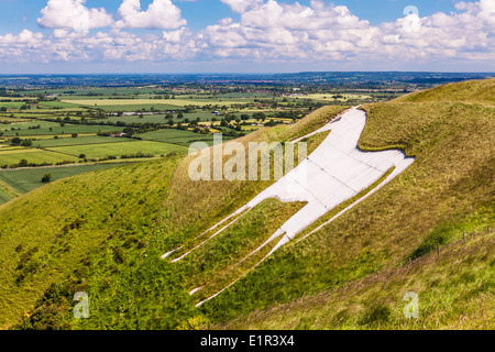 The White Horse below Bratton Camp, an Iron Age hillfort near Westbury in Wiltshire. Stock Photo