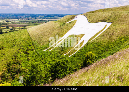 The White Horse below Bratton Camp, an Iron Age hillfort near Westbury in Wiltshire. Stock Photo