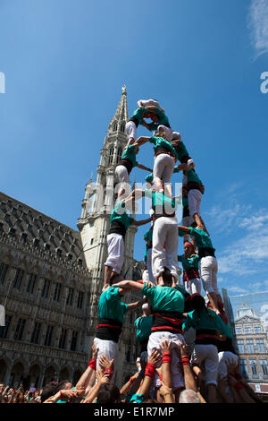Brussels, Belgium. 8th June, 2014. Castellers de Vilafranca building a Castell, or traditional human tower, in the Grand Place, Brussels, on June 8 2014 as part of a day or actions across Europe calling for Catalan independence from Spain. A referendum on the issue is being called for on November 9 2014, but is being blocked by the Spanish government. Similar castell events were helping in Berlin, Geneva, Lisbon, London, Paris, Rome and Barcelona. Credit:  deadlyphoto.com/Alamy Live News Stock Photo